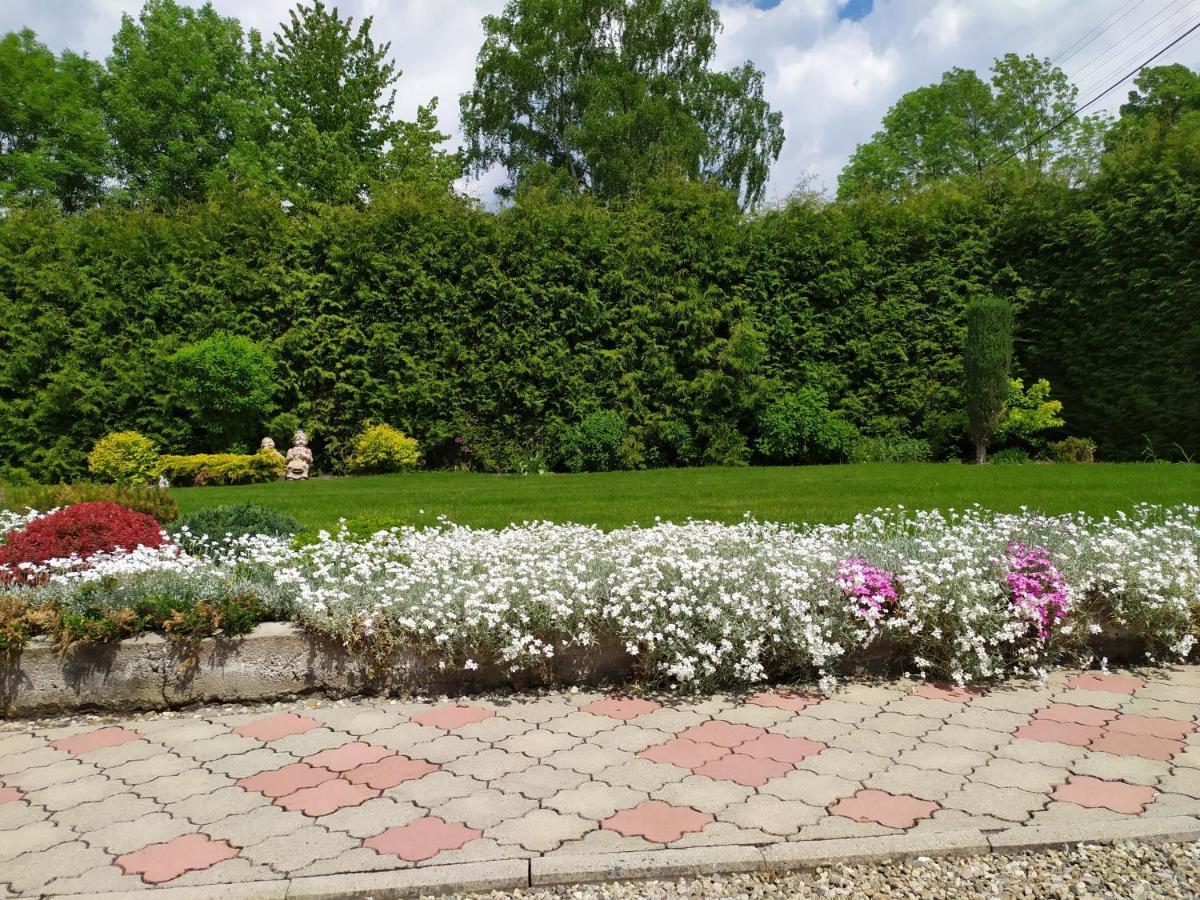 Apartmany Okoun Велке Лосины Экстерьер фото